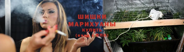 стафф Вяземский
