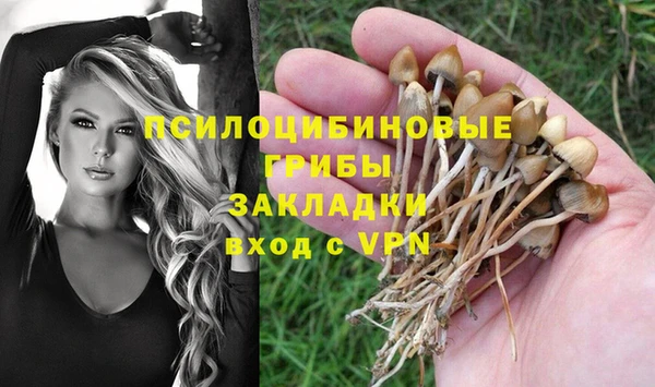 mdpv Володарск