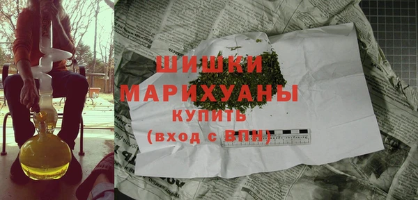 стафф Вяземский